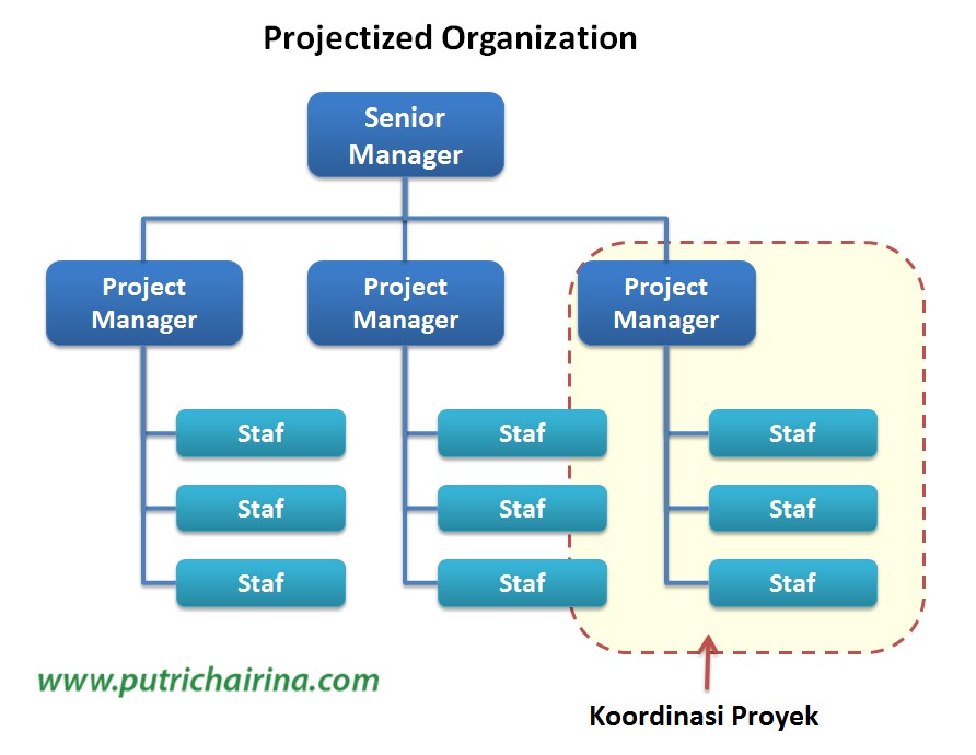 Projectized Organization