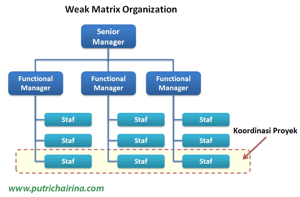 Weak Matrix Organization
